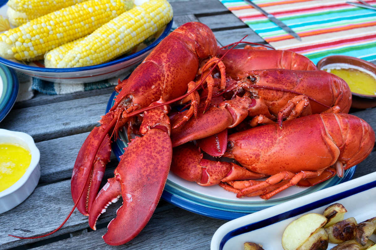Lobster Bake - Kennebunk, Maine