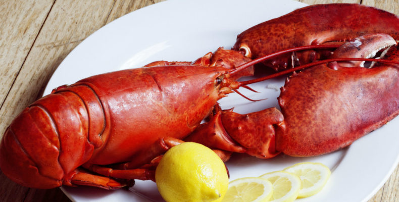 Lobster and lemon on a plate