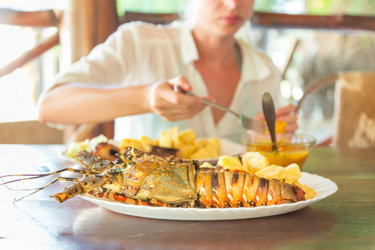 Maine Lobster Season