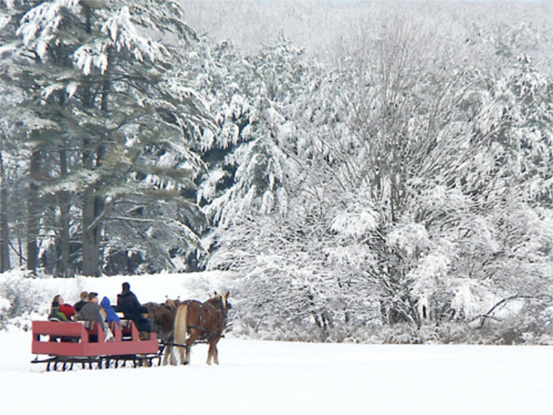 Sleigh Ride in Maine